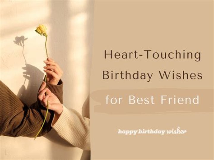 Celebrating Friendship: Heartfelt Happy Birthday Quotes To A Friend