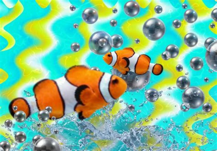 Discovering The Magic Of Quieres Agua Core Video Original