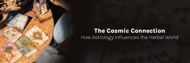Exploring The Cosmic Connection: Lisa Bonet Astrology