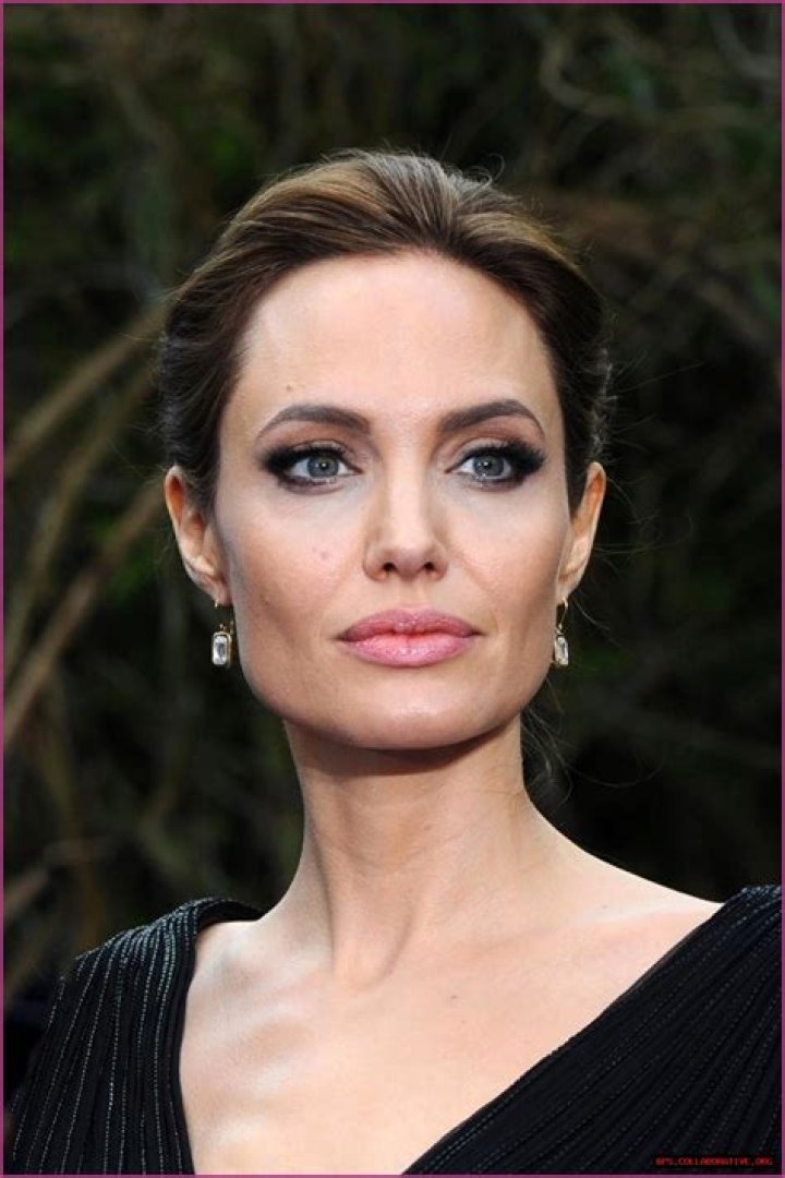 Exploring The Fascinating Angelina Jolie Profile