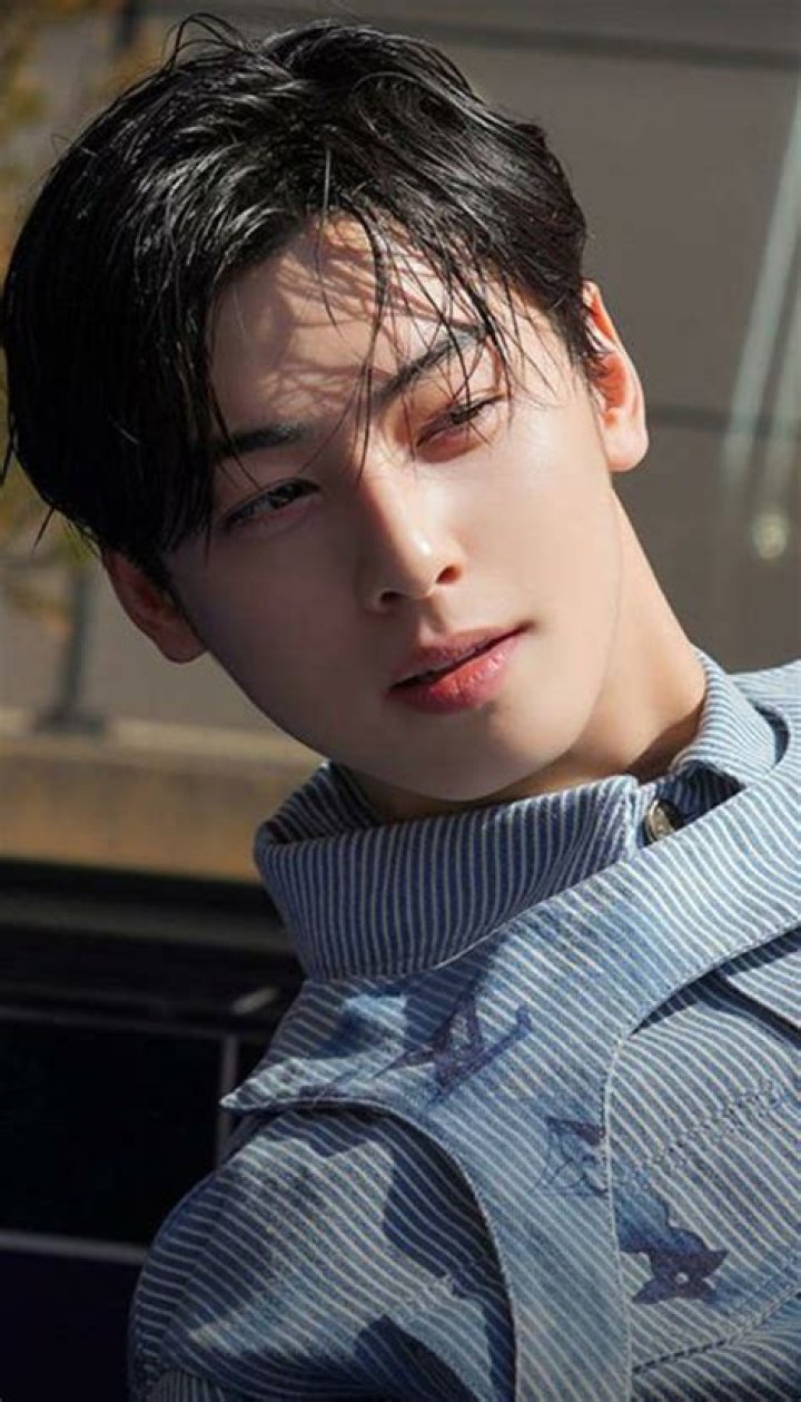 Exploring The Fascinating World Of Cha Eun Woo Kdramas