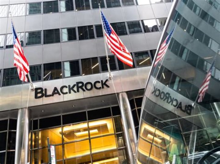 Exploring The Impact And Reach Of BlackRock Comercial