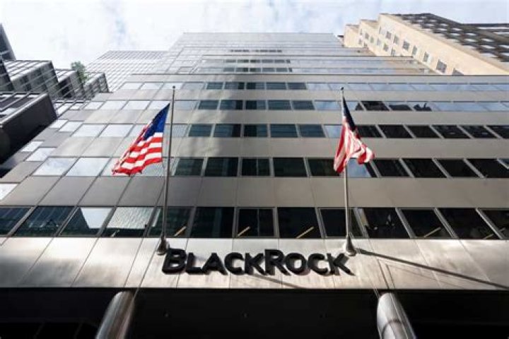 Exploring The Impact Of BlackRock HK On Investment Strategies