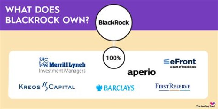 Exploring The Vast Portfolio: What Companies Do BlackRock Own?