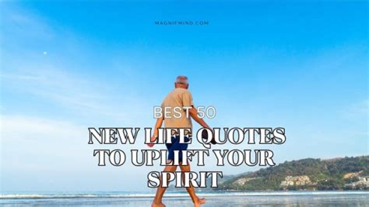 Inspiring And Motivational Lisa Quotes To Uplift Your Spirit