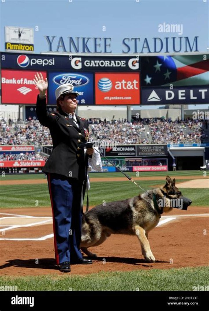 Megan Leavey Morales: A Journey Of Courage And Resilience