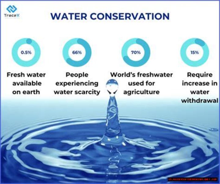 Quiero Agua Gote: The Journey Of Water Conservation And Its Significance