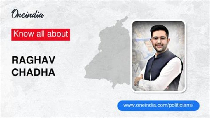 Raghav Chadha: Age 2024 And Beyond