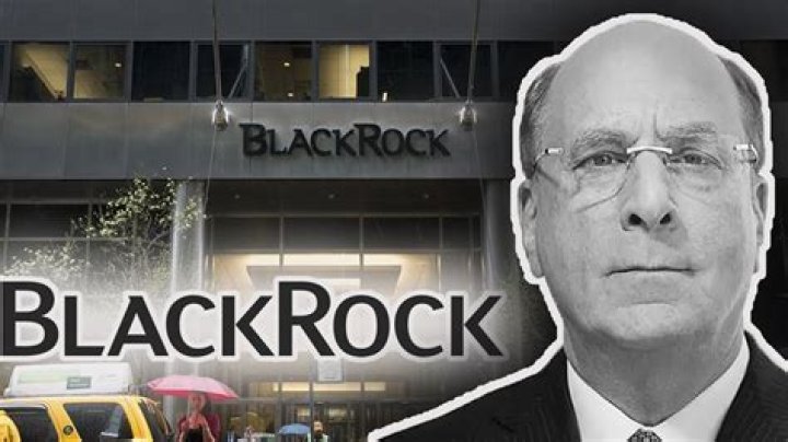 The Blackrock Family: A Legacy Of Influence And Wealth