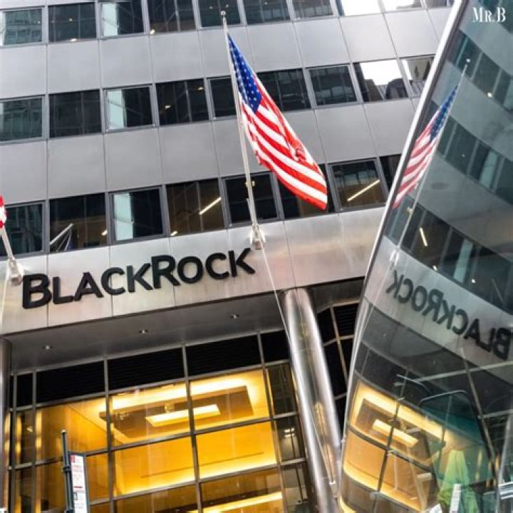 Understanding BlackRock: A Comprehensive Guide From Wikipedia