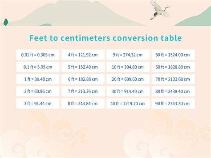 Understanding The Conversion Of 173 Cm To Feet