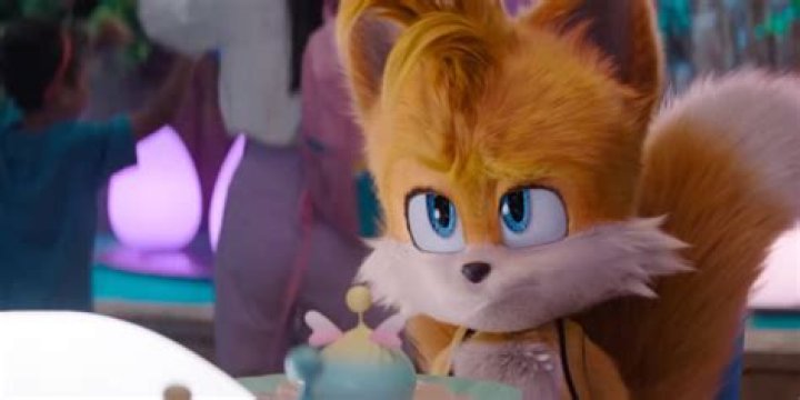 Unraveling The Mystery Of Tails The Fox Age