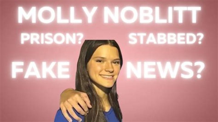 Unraveling The Mystery: What Happened To Molly Niblett?