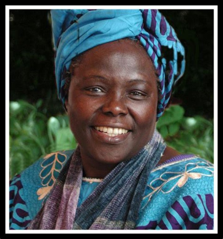 Unveiling The Life And Achievements Of Suzanna Connick