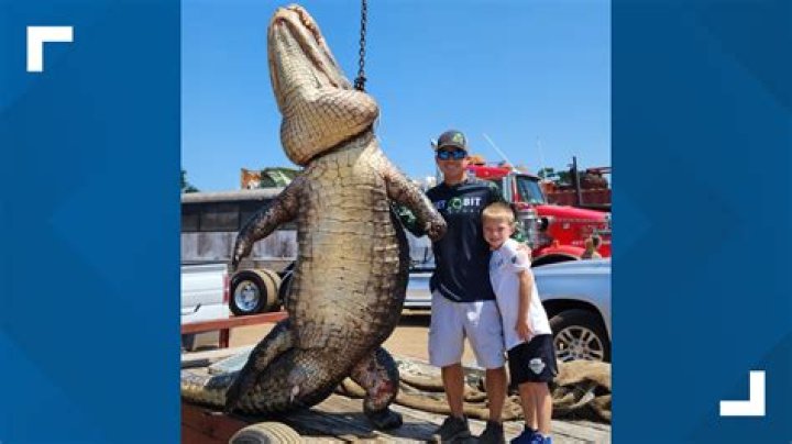 Unveiling The Thrills Of The Gator Boys Show: A Wild Adventure